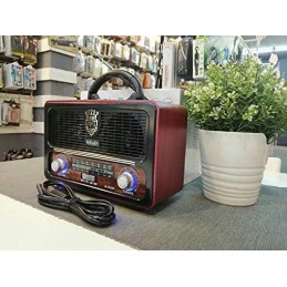 BLUETOOTH TELECOMMANDE Radio DSP Vintage Rechargeable AM/FM/SW1-3 USB MP3 TF 110/220V & Piles